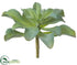 Silk Plants Direct Kalanchoe Plant - Green Gray - Pack of 12