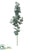 Eucalyptus Spray - Green Gray - Pack of 6