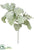 Dusty Miller Spray - Green Gray - Pack of 6