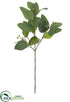 Silk Plants Direct Eucalyptus Leaf Spray - Green Gray - Pack of 12