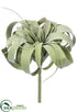 Silk Plants Direct Tillandsia Pick - Green Gray - Pack of 6