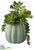 Succulent Garden - Green Gray - Pack of 6