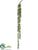 String of Pearl Spray - Green - Pack of 12