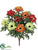 Anemone Bush - Orange Flame - Pack of 12