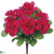 Outdoor Azalea Bush - Beauty - Pack of 12