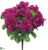 Outdoor Azalea Bush - Rubrum - Pack of 12