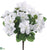 Outdoor Azalea Bush - White - Pack of 12