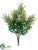 Astilbe Bush - Green Cream - Pack of 12