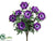 Wave Anemone Bush - Violet - Pack of 12