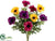 Anemone Bush - Purple Gold - Pack of 12