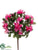 Azalea Bush - Pink Hot - Pack of 36