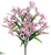 Alstroemeria Bush - Lavender - Pack of 12