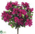 Azalea Bush - Cerise - Pack of 12