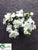 Outdoor Azalea Bush - White - Pack of 12