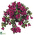 Azalea Hanging Bush - Cerise - Pack of 6