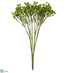 Silk Plants Direct Baby's Breath Bush - Green - Pack of 24