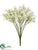 Baby's Breath Bush - Cream - Pack of 24