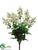 Bouvardia Bush - Cream - Pack of 12