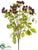 Berry Bush - Burgundy - Pack of 12