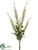 Buddleia Bush - Cream - Pack of 12