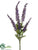 Buddleia Bush - Purple - Pack of 12