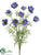 Cosmos Bush - Helio Delphinium - Pack of 6