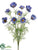 Cosmos Bush - Helio Delphinium - Pack of 6