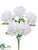 Carnation Bush - White - Pack of 24