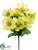 Cosmos Bush - Yellow - Pack of 24