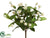 Clover Bush - White - Pack of 12