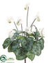 Silk Plants Direct Cyclamen Bush - White - Pack of 12