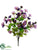 Cosmos Bush - Lavender Purple - Pack of 12