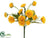 Calendula Bush - Yellow - Pack of 24