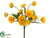 Calendula Bush - Yellow - Pack of 24