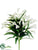 Calla Lily Bush - White - Pack of 12