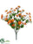 Daisy Bush - Orange - Pack of 12