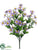 Daisy Bush - Purple Lavender - Pack of 12