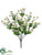 Daisy Bush - White - Pack of 12