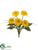 Gerbera Daisy Bush - Yellow - Pack of 12