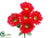 Gerber Daisy Bush - Red - Pack of 24