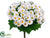 Daisy Bush - White - Pack of 12