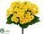 Daisy Bush - Yellow - Pack of 12