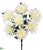 Dahlia Bush - Cream White - Pack of 12