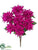 Dahlia Bush - Rubrum - Pack of 12