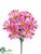 Shasta Daisy Bush - Cerise - Pack of 24