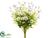 Daisy Bush - White - Pack of 6