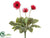 Gerbera Daisy Bush - Red - Pack of 12