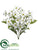 Dogwood Bush - Cream - Pack of 12