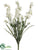 Delphinium Bush - Cream - Pack of 12