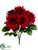 Dahlia Bush - Beauty - Pack of 6